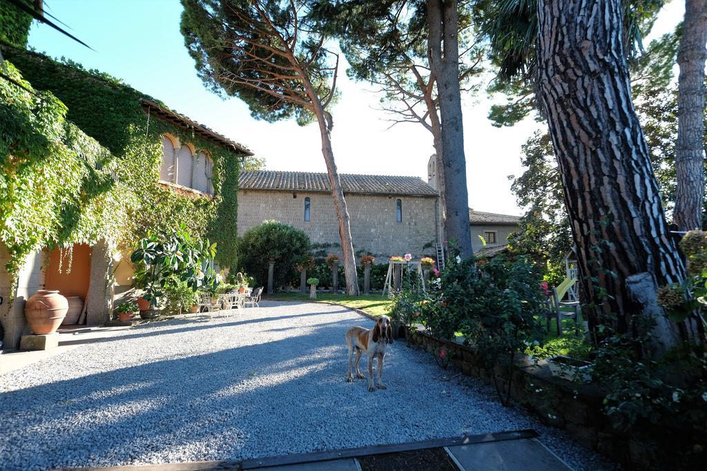 B&B A Piazza Del Gesu Viterbo Eksteriør billede